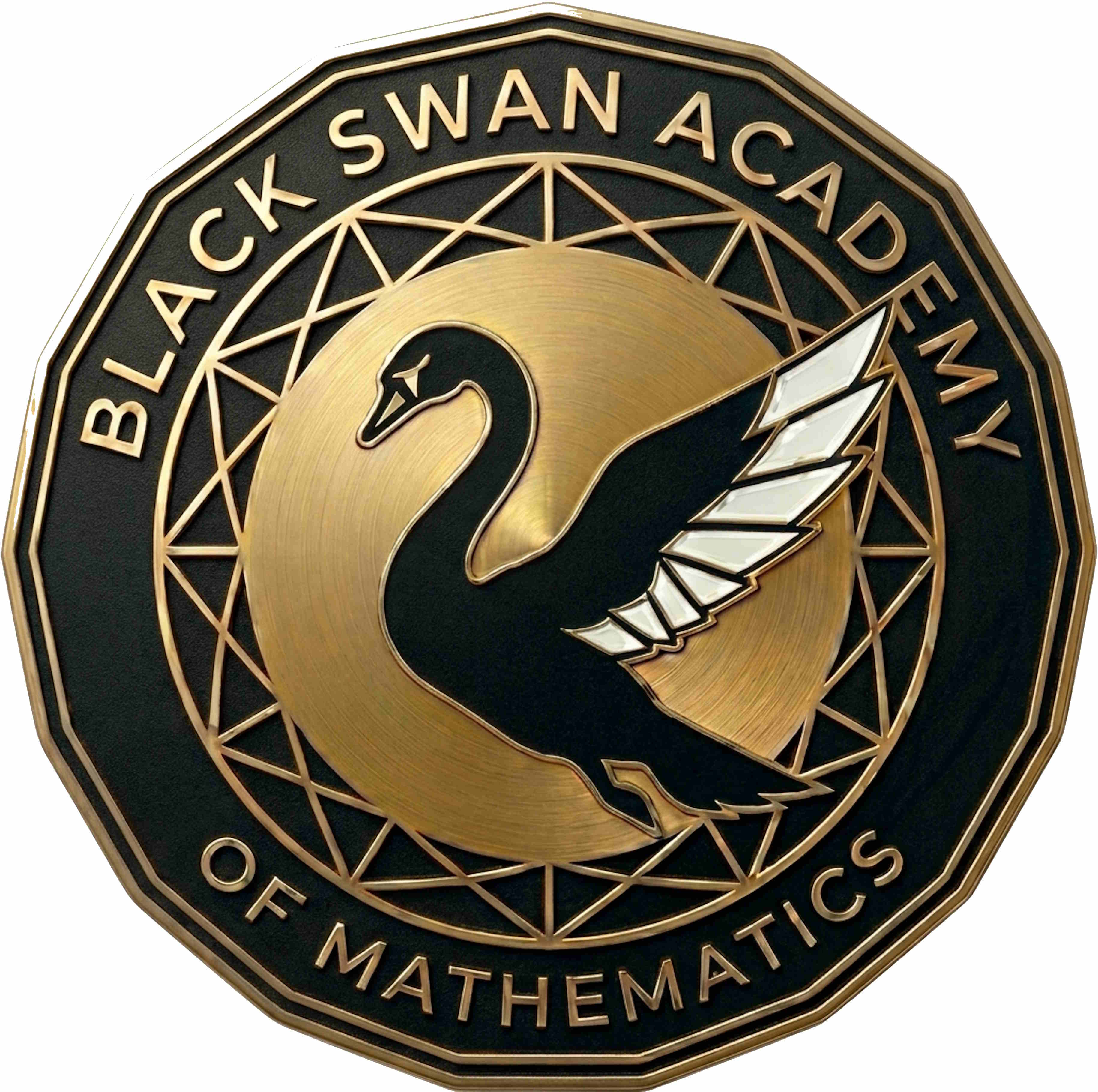 Black Swan Academy of Mathematics logo