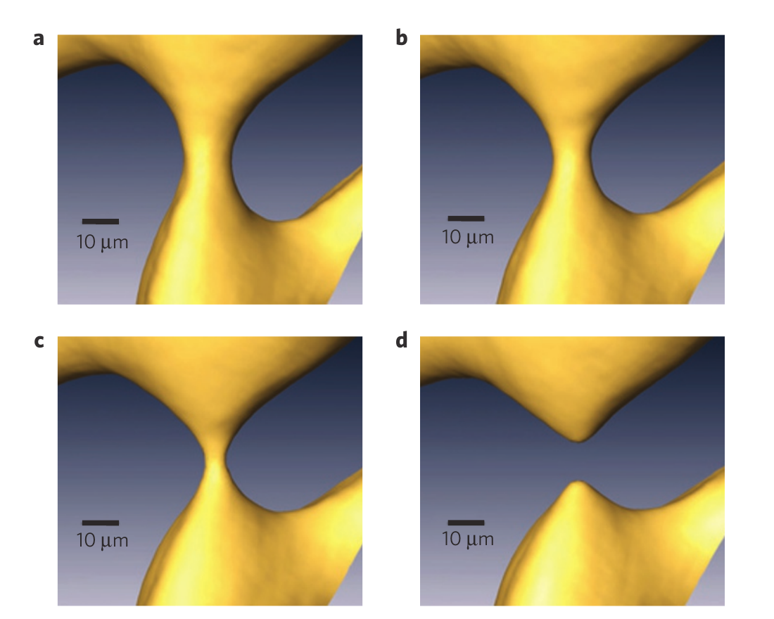 Four time-resolved tomographic reconstructions of a liquid aluminium-copper rod narrowing and separating under bulk diffusion