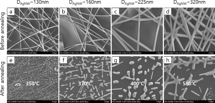 Scanning electron micrographs of silver nanowire networks before and after annealing