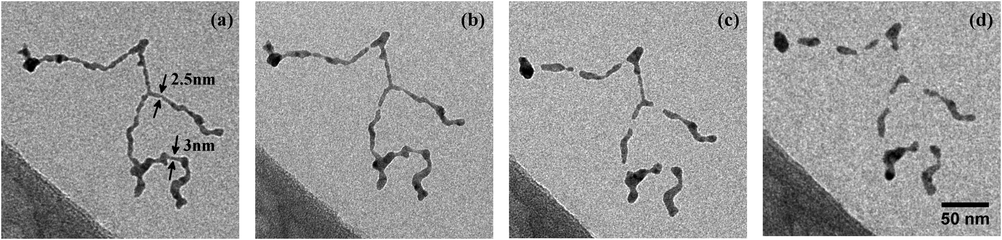 The same ultrathin silver nanowire photographed at 253, 268, 293, and 363 Kelvin
